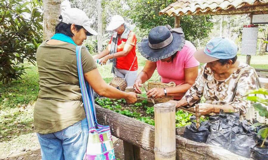 Coffee Farm Tour at Finca El Ocaso from Salento - Is $93 a Fair Price?