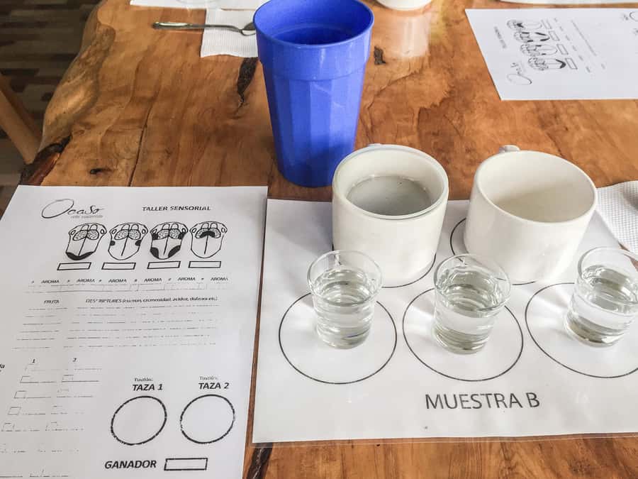 Coffee Farm Tour at Finca El Ocaso from Salento - Booking Advice for a Better Visit