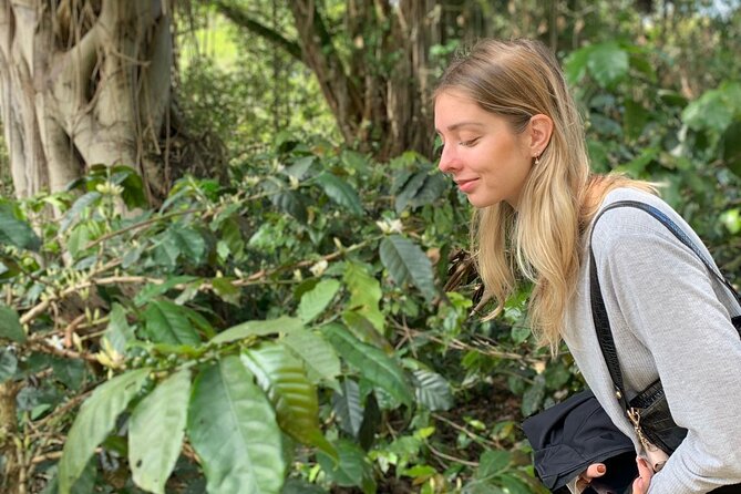 Coffee Farm Tour from Bogotá – Be a Farmer for a Day - Key things to know before you book