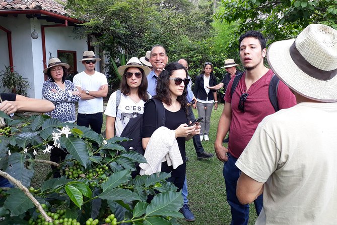 Coffee & flowers: Coffee Experience in Bogotá, Colombia - From Seed Selection to the Final Cup