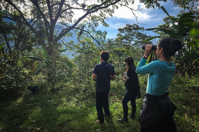 Coffee Lands Birdwatching (transport + guiding + lunch) - The birds you may spot along the paths