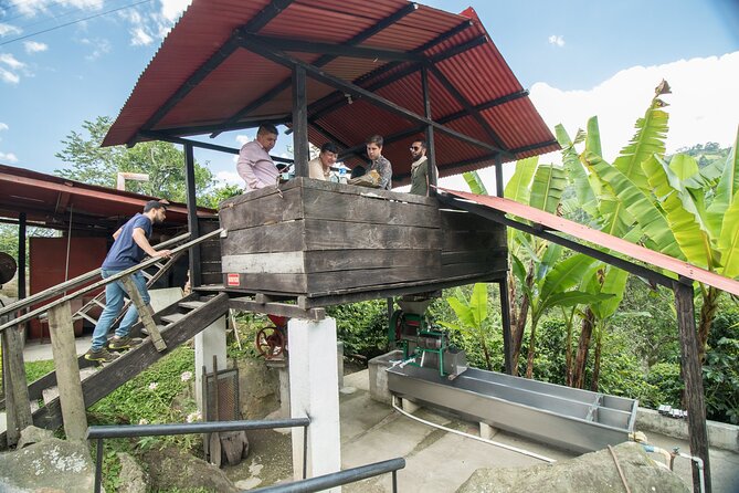 Coffee Paradise at El Paraiso - Experience from Bogota - Lunch in San Francisco’s main square