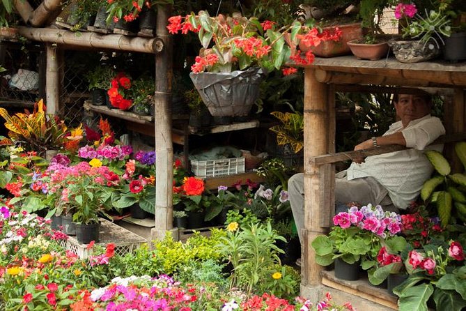 Coffee Paradise at El Paraiso - Experience from Bogota - What the $239 price really buys
