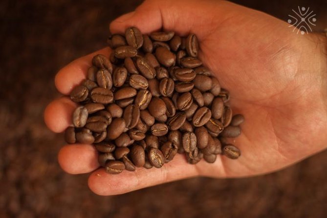 Coffee Paradise at El Paraiso - Experience from Bogota - Practical advice for a smoother day