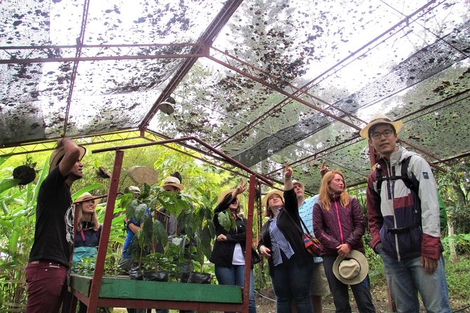 Coffee Plantation Tour From Bogota - Why this Bogotá coffee trip is worth considering