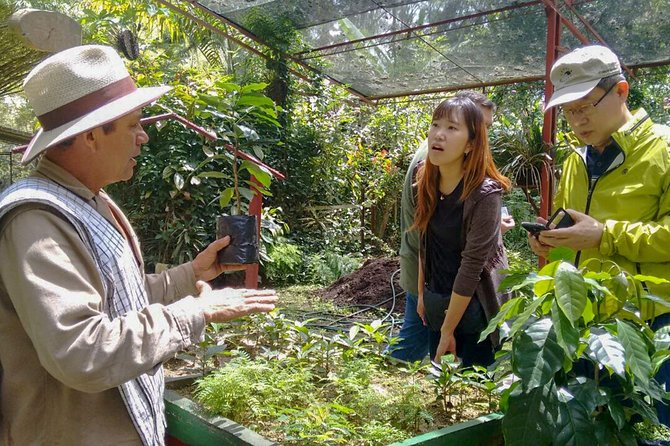 Coffee Plantation Tour From Bogota - B. Fusacatan, a warmer stop outside the capital