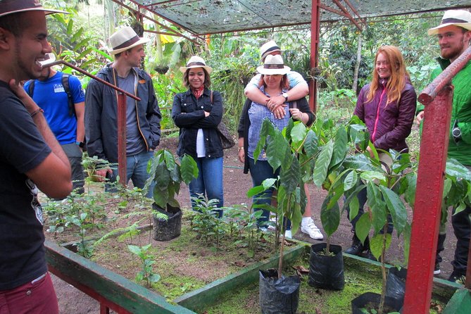 Coffee Plantation Tour From Bogota - Hacienda Coloma and the full coffee process