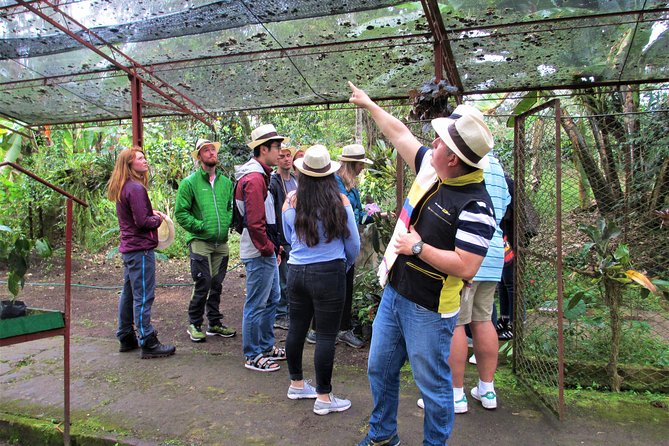 Coffee Plantation Tour From Bogota - Private transportation and a small-group pace