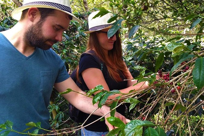Coffee Plantation Tour From Bogota - Who will enjoy this tour most