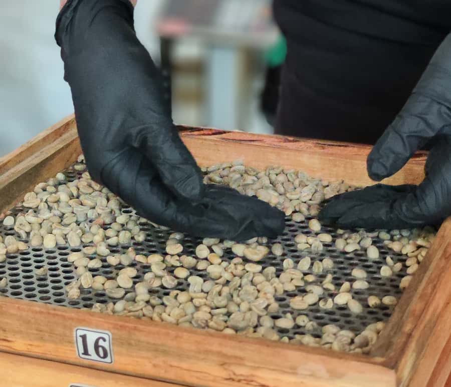 Coffee Tasting Experience in Cali - Timing, flexibility, and practical planning