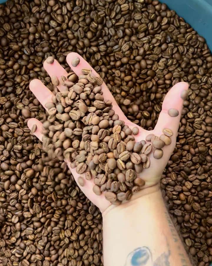 Coffee Tour at Finca El Ocaso Salento: Traditional Spanish Farm - Key points to know before visiting