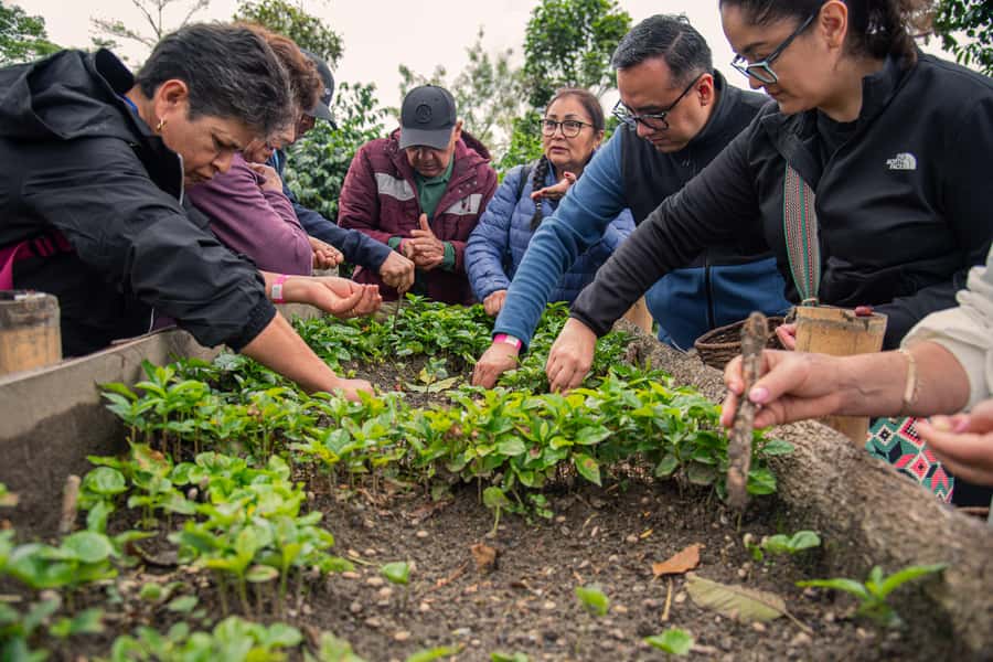 Coffee Tour at Finca El Ocaso Salento: Traditional Spanish Farm - Starting with coffee plants, gardens, and farm history