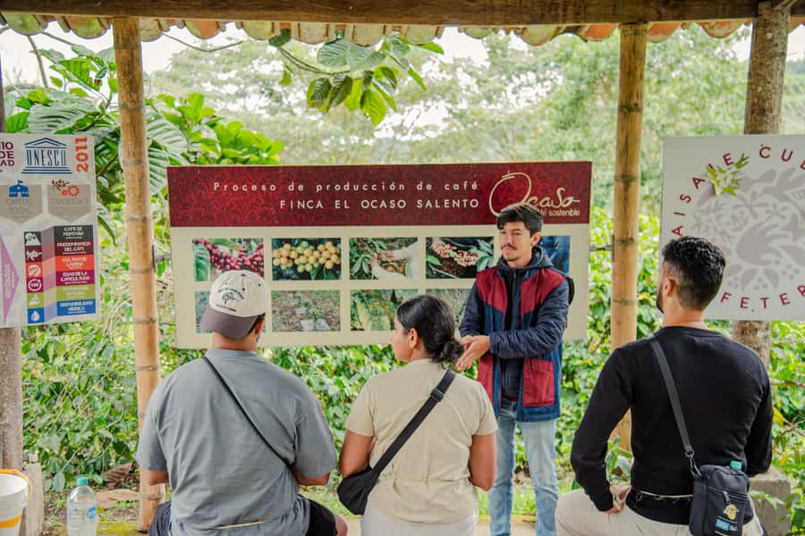 Coffee Tour at Finca El Ocaso Salento: Traditional Spanish Farm - Composting and sustainability in practical terms