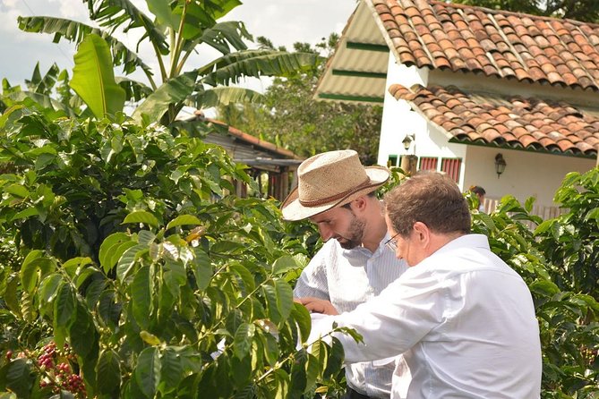Coffee Tour at the Finca del Café - Starting at Finca del Café near Pereira