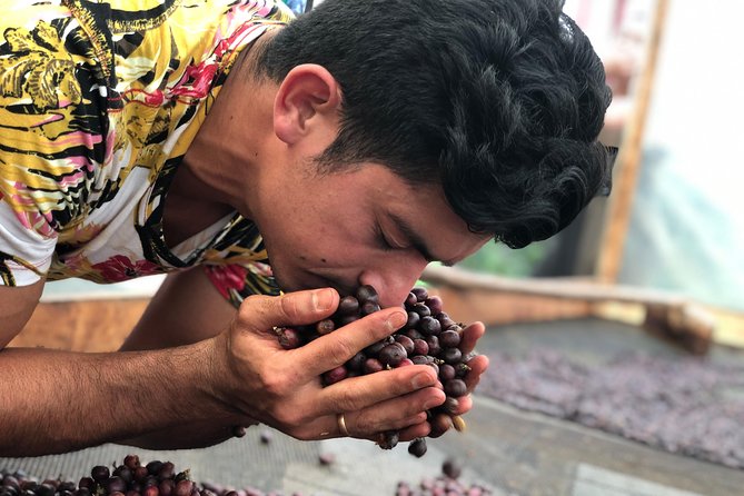 Coffee Tour Finca Jaguar - Key points to know before booking