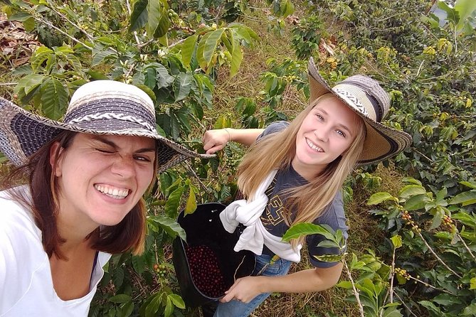 Coffee Tour Finca Jaguar - Learning about fermentation, drying, and roasting