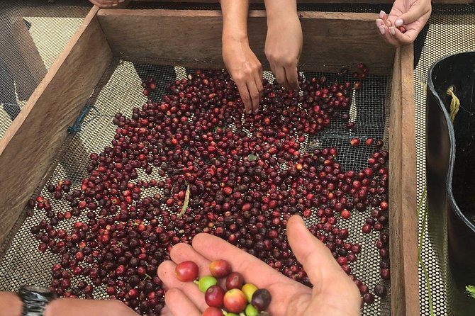 Coffee Tour Finca Jaguar - The drive from Bogotá to the finca