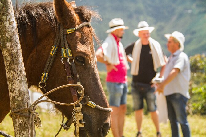 Coffee Tour In Horse Riding and Lunch In Medellin - Learning the coffee process at the finca