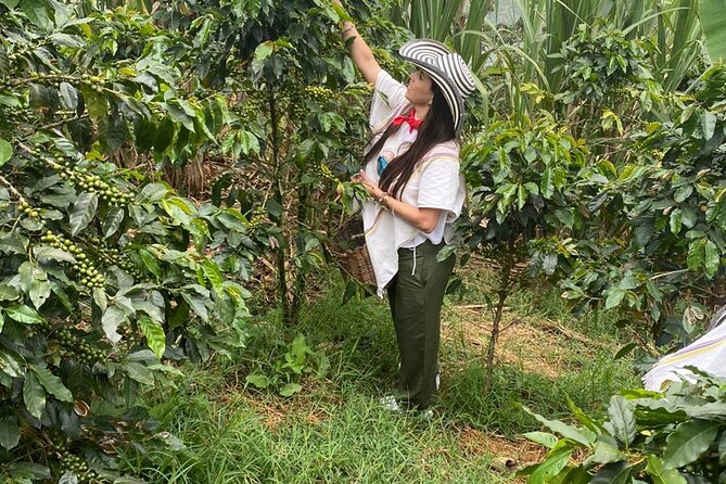 Coffee tour in Medellín with tastings and transportation - The 40-minute ride from Medellín to Palmitas