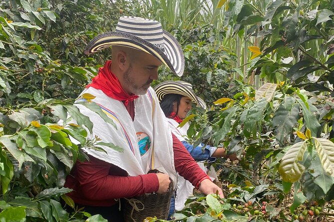 Coffee tour in Medellín with tastings and transportation - A souvenir and time to shop