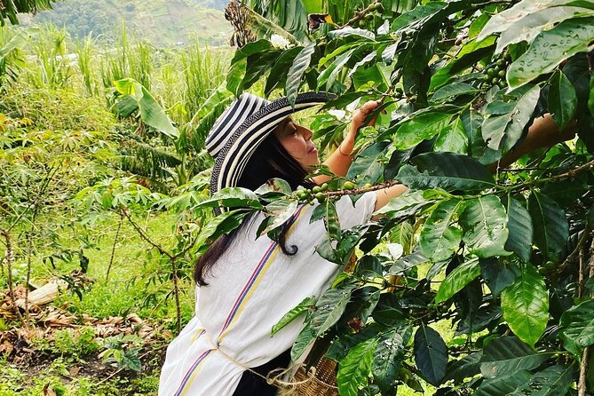 Coffee tour in Medellín with tastings and transportation - Dressing like a coffee picker
