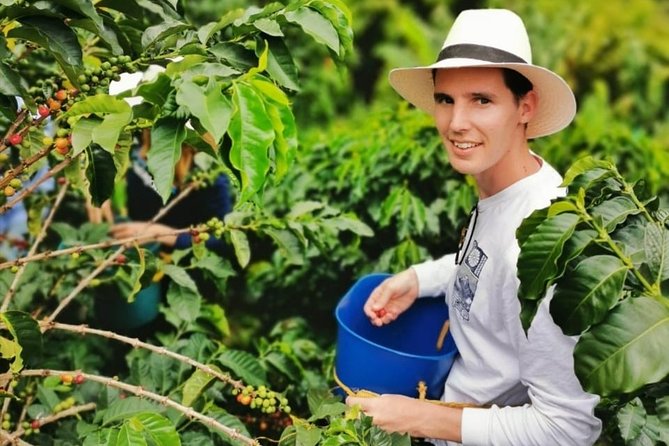 Coffee Tour in the Beautiful Jardin Town: Adventure in the Andes - The guides can shape the entire day