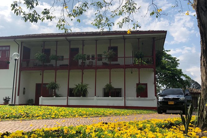 Coffee tour in the heart of the coffee region - Why the private format matters