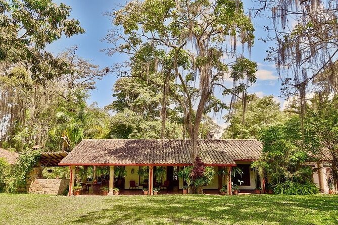 Coffee tour & rum tasting - Key points to know before booking