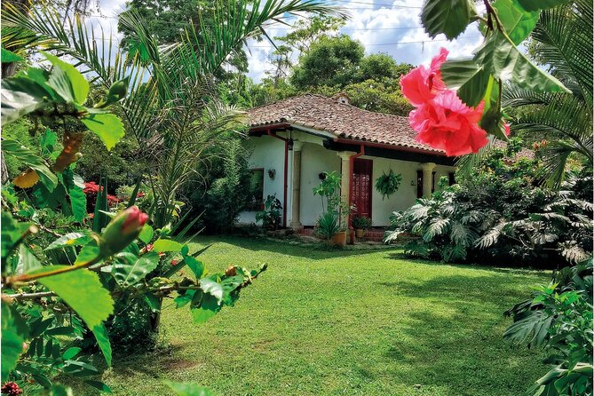 Coffee tour & rum tasting - How the private format changes the day