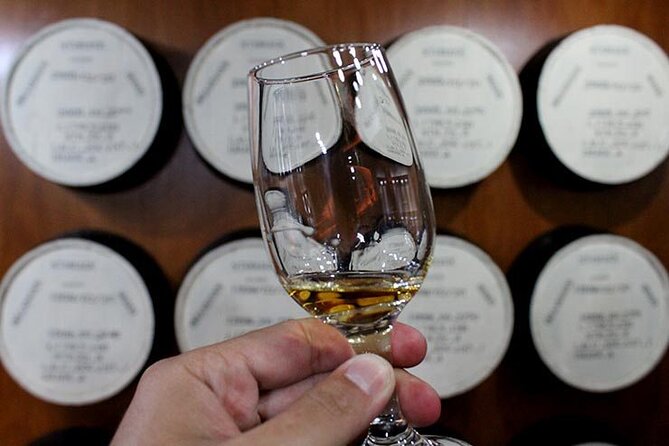 Coffee tour & rum tasting - Hacienda Coloma: coffee culture in a small setting