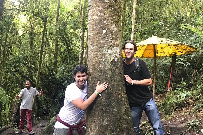 Colombia’s Tallest Waterfalls: La Chorrera Hike - El Chiflón: a smaller waterfall with its own appeal