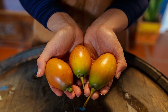 Colombian Fruits and Paila Ice Cream Tasting - The tasting is generous, but not a full meal