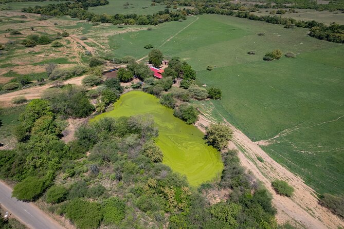 Community and Biodiversity Tour of the Tatacoa Desert from Neiva - Villavieja and the Magdalena River