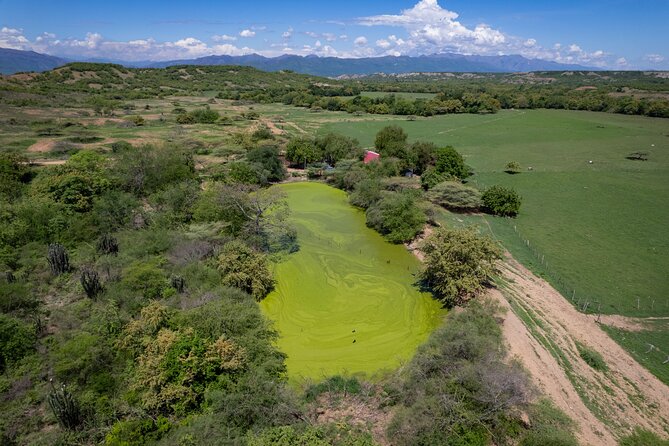 Community and Biodiversity Tour of the Tatacoa Desert from Neiva - The Backpackers natural sanctuary