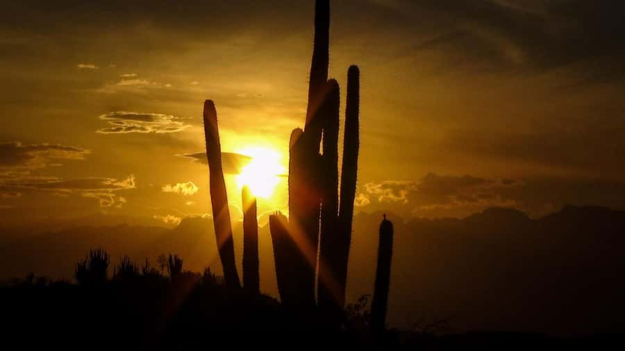 Community and Biodiversity Tour of the Tatacoa Neiva Desert - Las Ventanas viewpoint before sunset