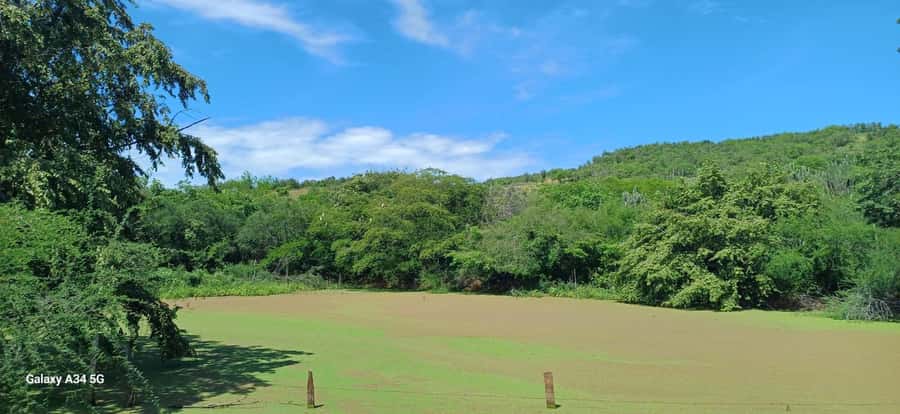 Community and Biodiversity Tour of the Tatacoa Neiva Desert - Hiking through the Xilópalos Valley