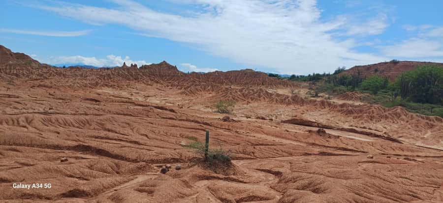 Community and Biodiversity Tour of the Tatacoa Neiva Desert - The Red Desert and its iron-colored soil