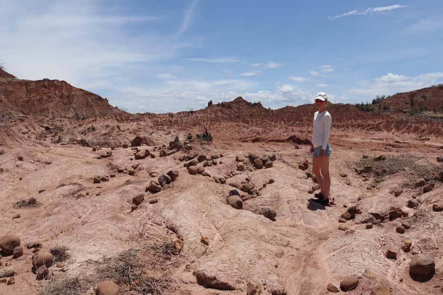 Community and Biodiversity Tour of the Tatacoa Neiva Desert - Starting in Neiva and reaching Villavieja