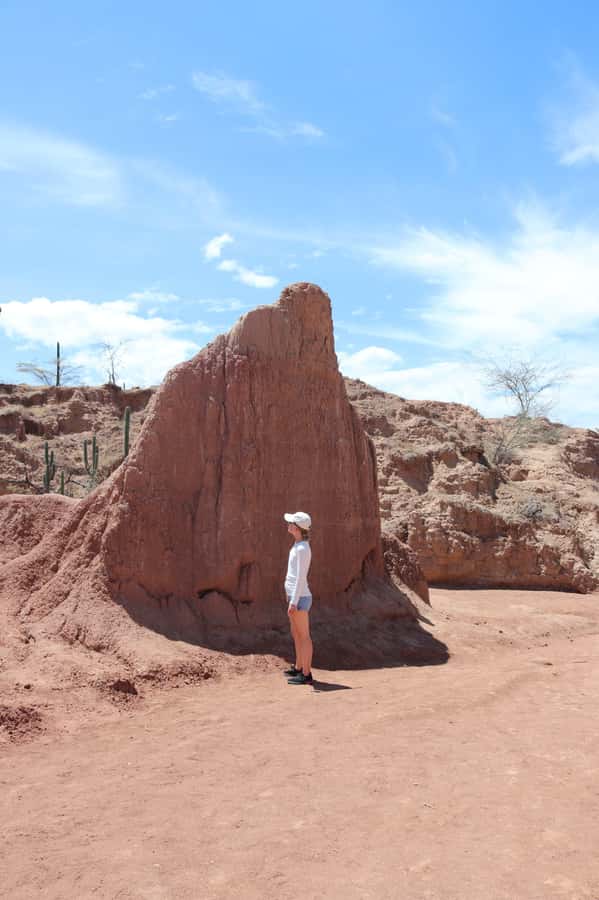 Community tour Biodiversity Latatacoa Desert Villavieja - The final desert walks and Las Ventanas viewpoint
