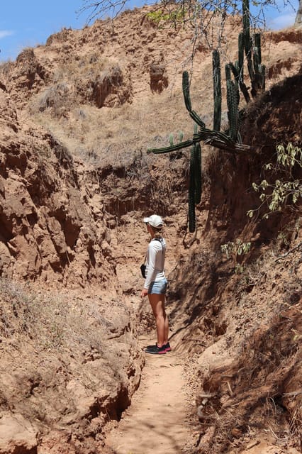 Community tour Biodiversity Latatacoa Desert Villavieja - Xilópalos Valley, fossils, and community tourism