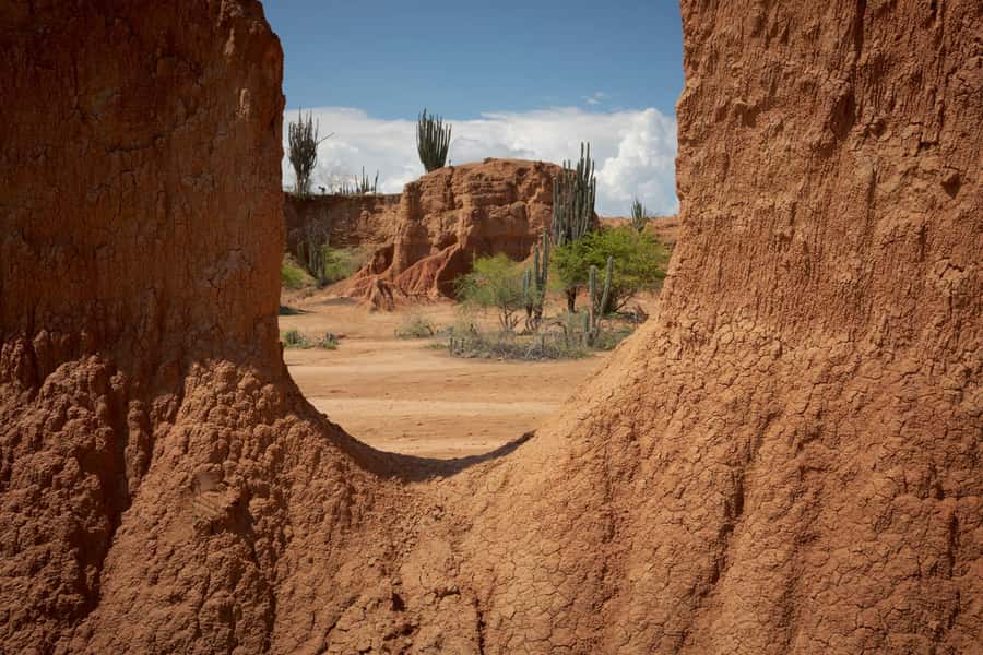 Community tour Biodiversity Latatacoa Desert Villavieja - Starting in Villavieja and meeting the Megaterio