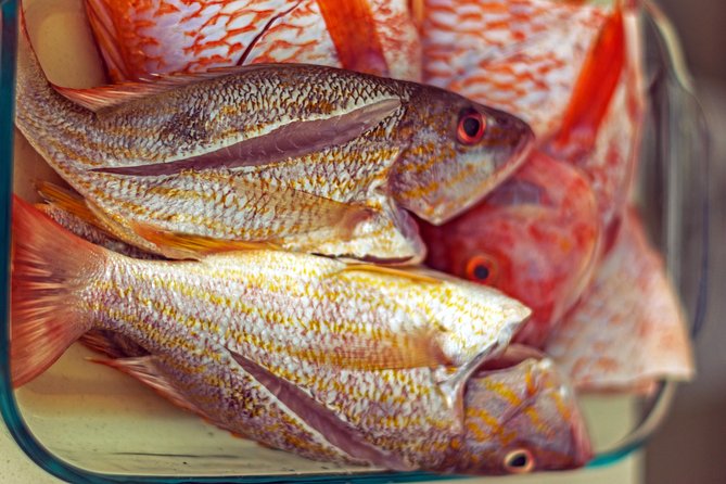 Cook Like a Local – A Traditional Caribbean Cooking Class - Cancellation and booking timing