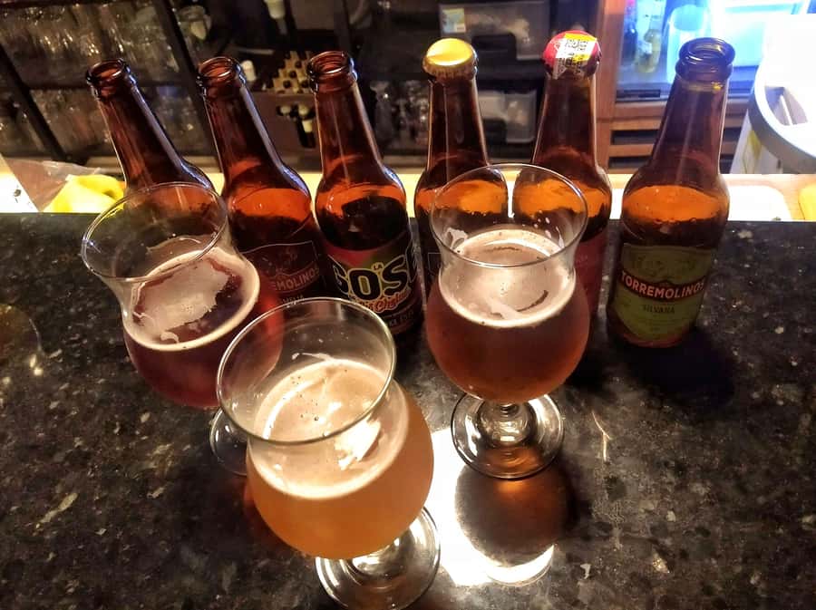 Craft Beer Pub Crawl in Cali - Walking, alcohol, and who should skip it