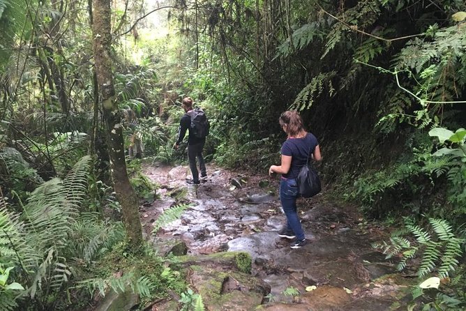 Day Trip to Chicaque National Park—from Bogota - Price, group size, and practical value