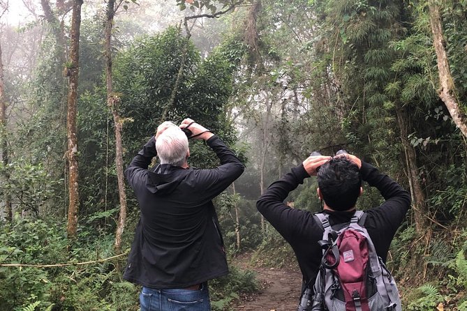 Day Trip to Chicaque National Park—from Bogota - Entering Chicaque’s cloud forest