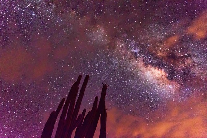 Desierto de la Tatacoa: paisajes y observación de estrellas. - What makes this Tatacoa trip worth considering