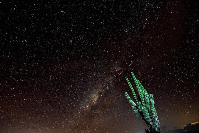 Desierto de la Tatacoa: paisajes y observación de estrellas. - The long return to Bogotá