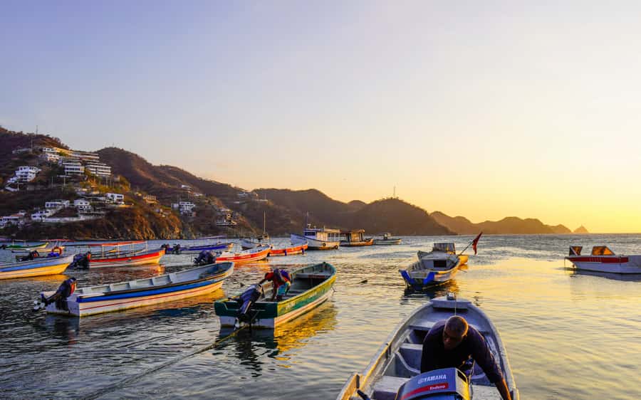 Discover Santa Marta Vip - Quinta San Pedro Alejandrino gives the day its historical center
