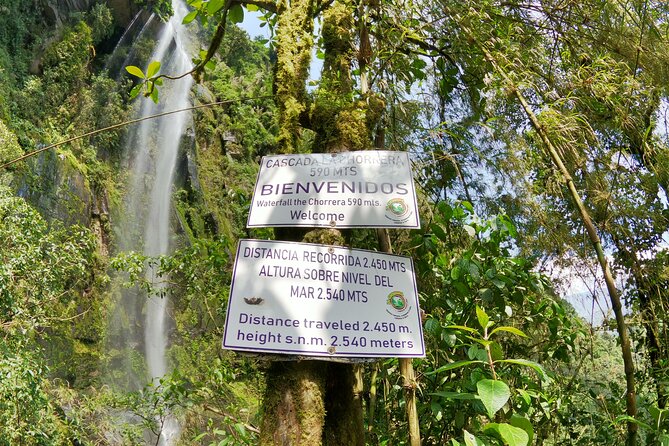 Discover the highest waterfall in Colombia "La Chorrera" - Guide style and the small-group advantage
