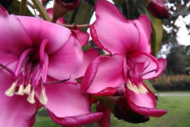 Discover the largest urban park in the world - Why this park walk matters in Bogotá